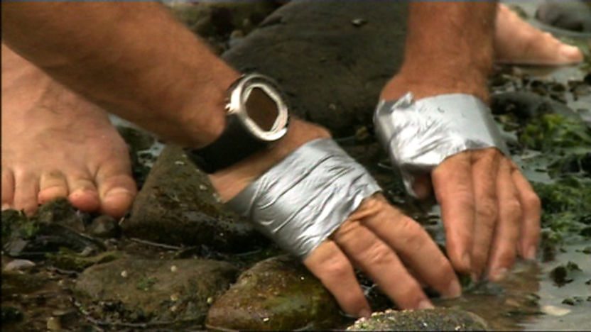 Steve Backshall's hands looking for shellfish on the seashore