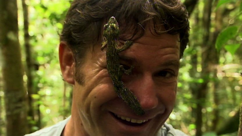 Steve Backshall with a gecko on his face
