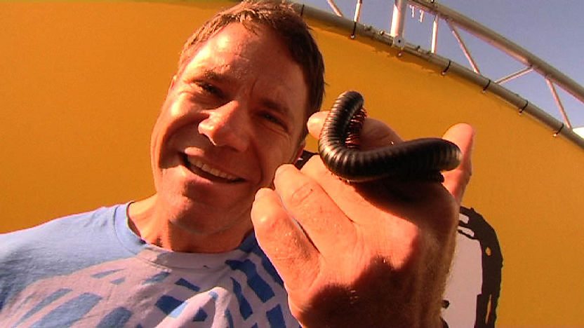 Steve Backshall holding a millipede