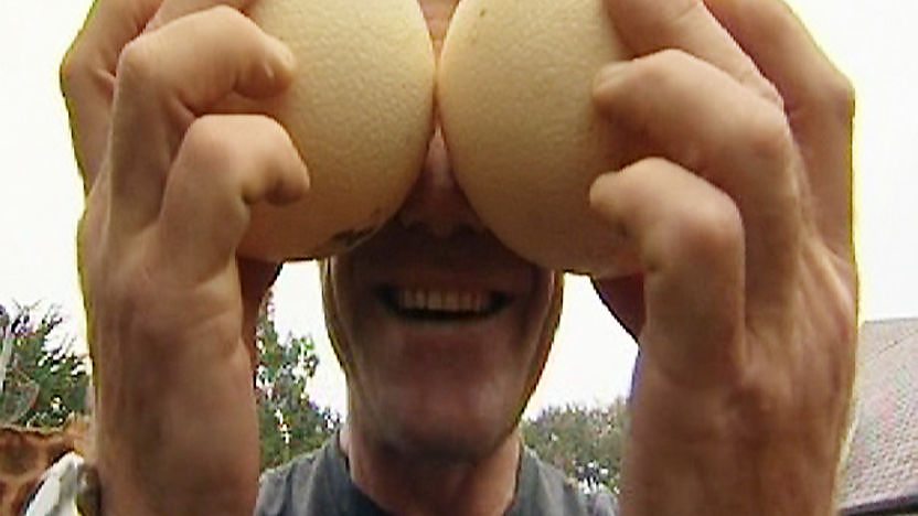 Steve Backshall holding 2 large ostrich eggs over his eyes