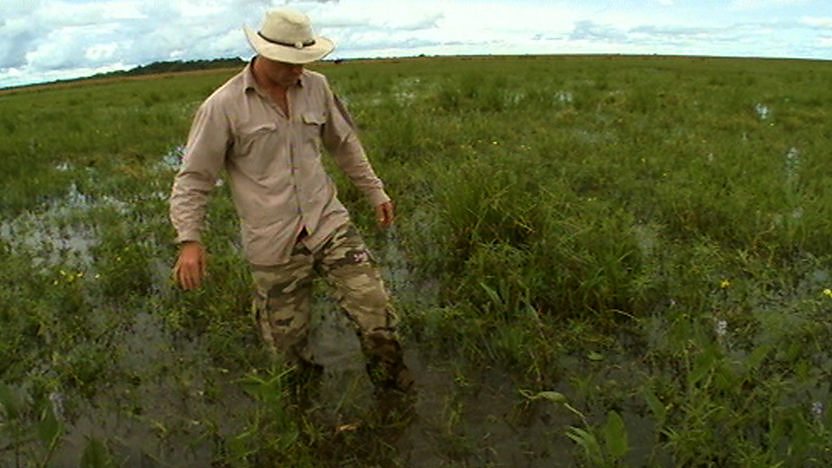 Steve Backshall walking through marshland