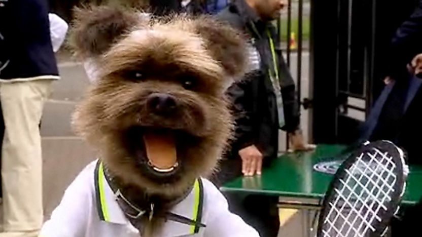 Hacker at Wimbledon. 