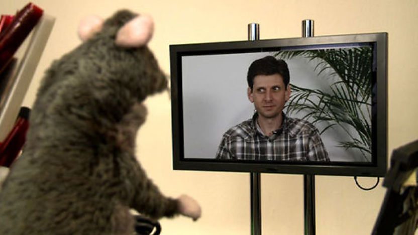 Rattus watches Larry on TV