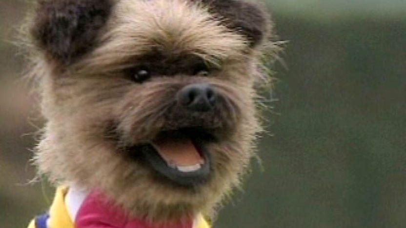 Hacker T Dog.