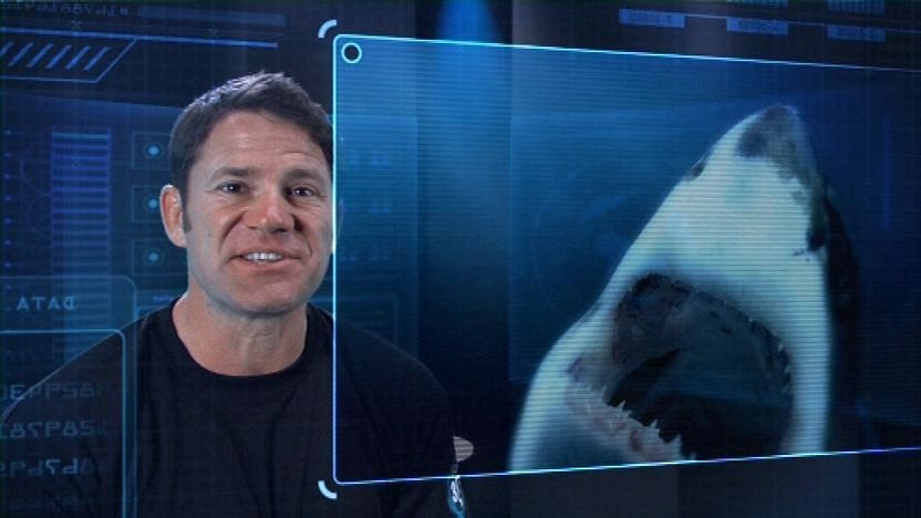 Steve Backshall.
