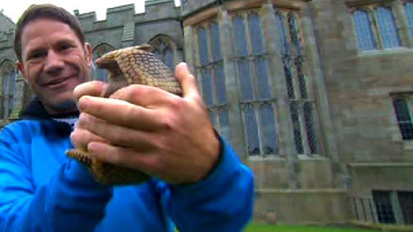 Steve Backshall holding an armadillo