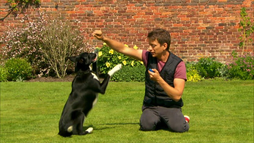 Zak teaching Nelly how to sit pretty