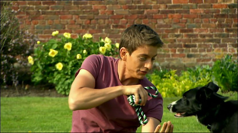 Zak George teaches Nellie the dog the jump through arms trick. 