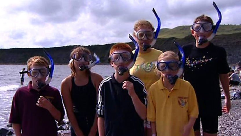 Group of swimmers wearing snorkelling gear on the beach