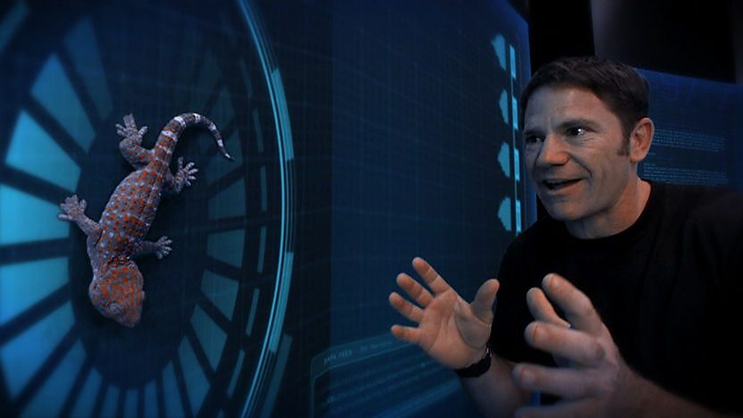 Steve Backshall and a Gecko.