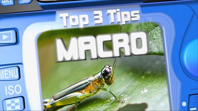 A macro picture of an amazon tree frog in the viewfinder of a blue camera with the word 'Macro'.