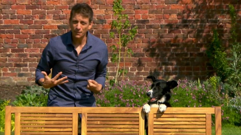 zac (presenter) and dog