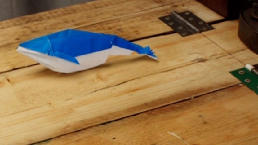 Image of a origami whale.