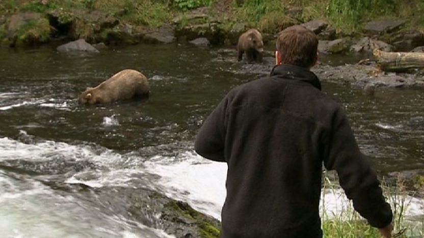 Steve Backshall looking at grizzly bears in a river