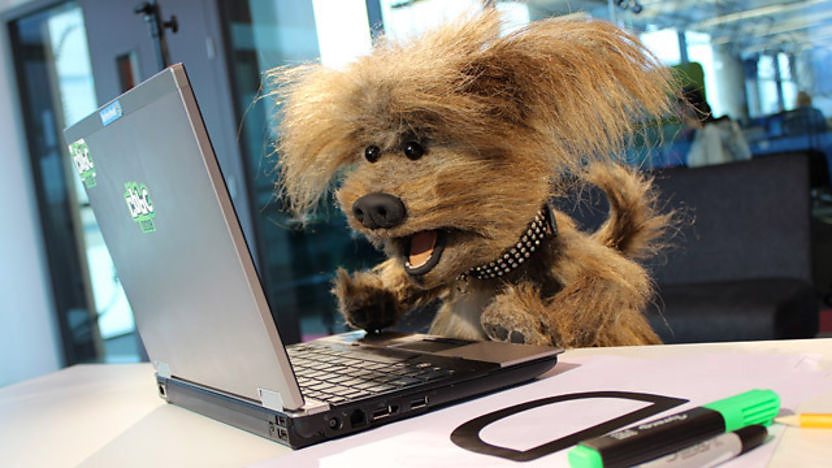 Dodge at a laptop computer.