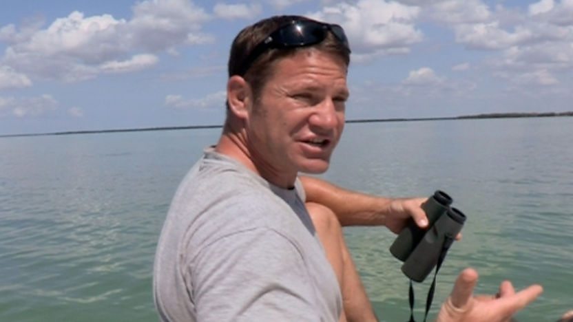 Steve meets some playful dolphins in Florida