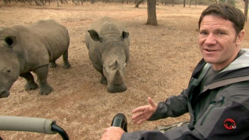 White rhino success story