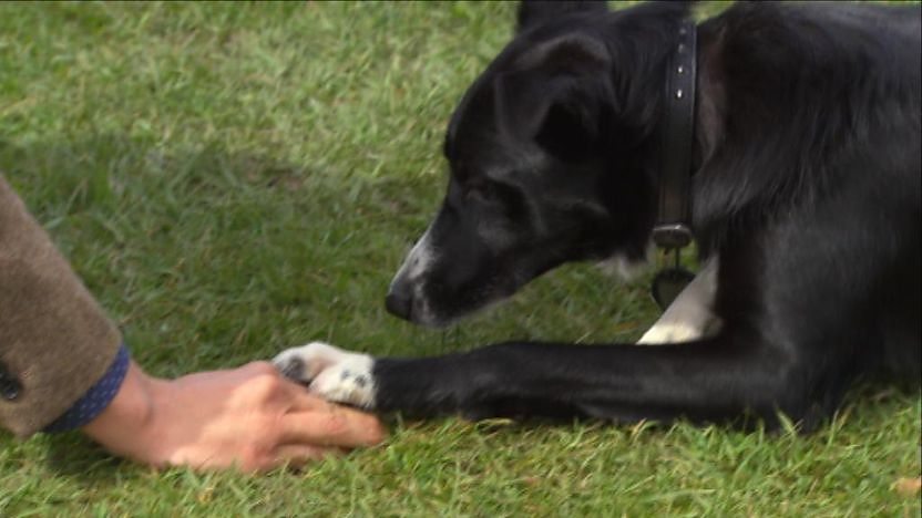 Zak feeding Nelly