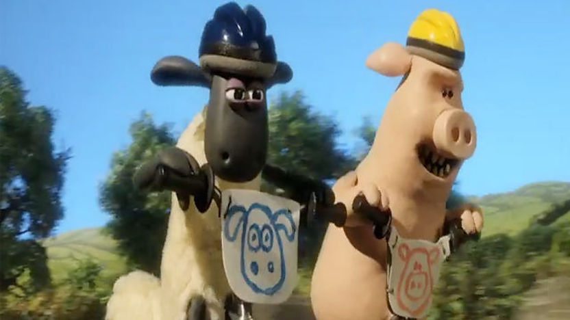 Shaun and the pigs racing.
