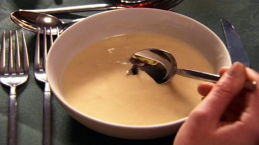 Fly in a bowl of soup