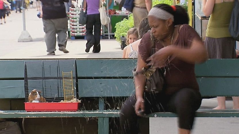 Woman sat with trumping guinea pig