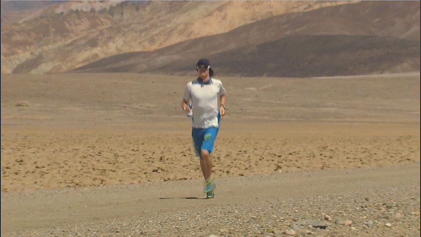 Leo in the desert
