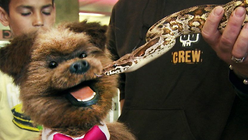 Hacker T Dog looking worried next to a snake.