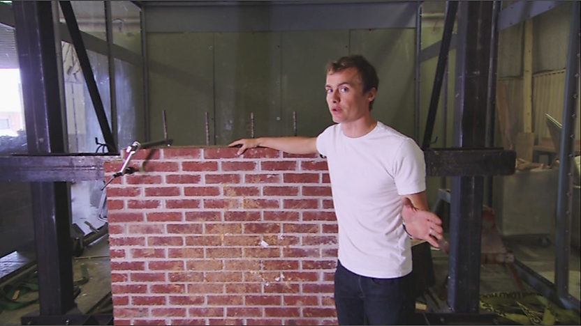 Leo and a brick wall.