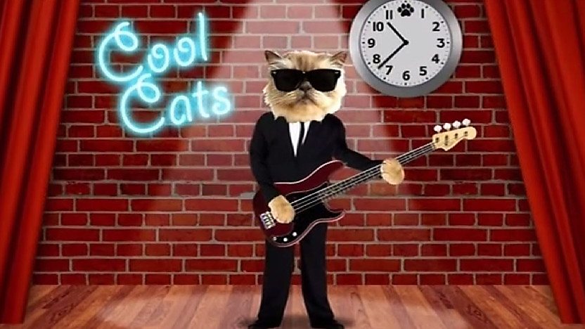 Cool Cats