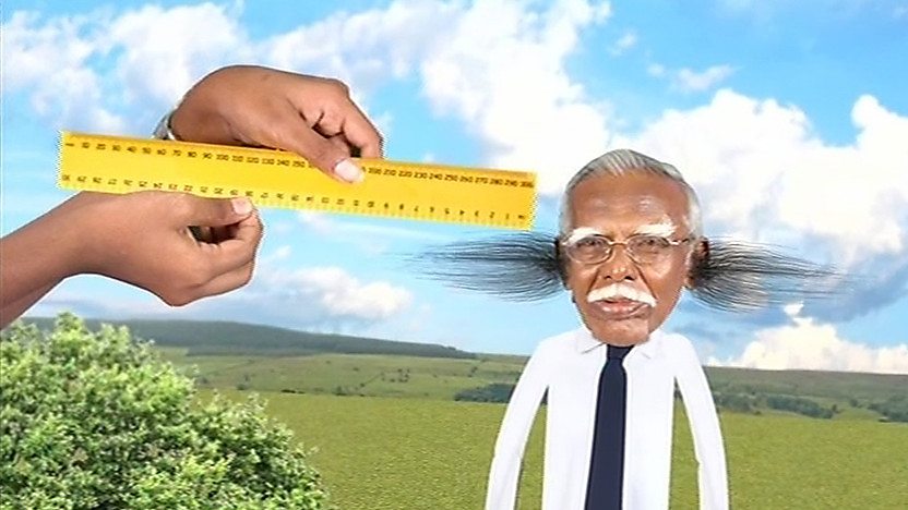 World's longest ear hair