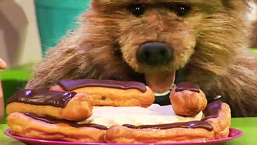 Hacker T Dog looking at a plate full of chocolate eclairs.