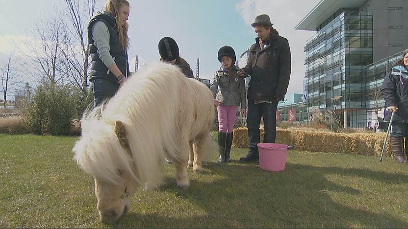 Barney with the miniature horses and their owners
