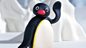 Pingu: Series 4: Pingu Cannot Lose