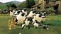 Shaun the Sheep: Series 2: What's Up, Dog?