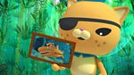 Octonauts