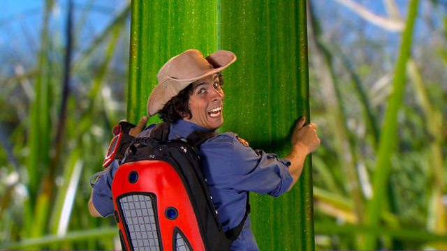 Andy's Wild Adventures: Series 1: Grasscutter Ants