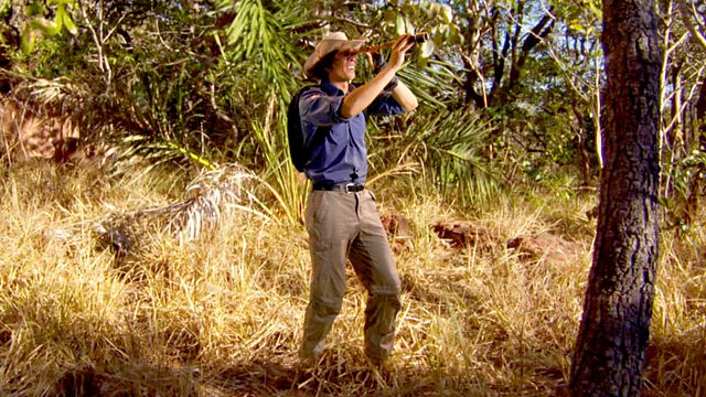 Andy's Wild Adventures: Series 1: Capuchin Monkey