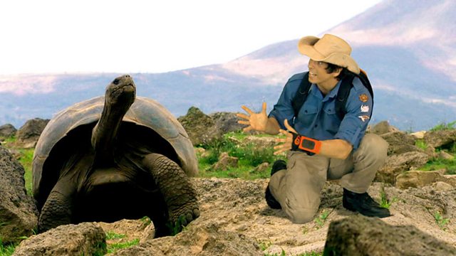 Andy's Wild Adventures: Series 2: Giant Tortoises