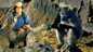 Andy's Wild Adventures: Series 2: Chacma Baboons