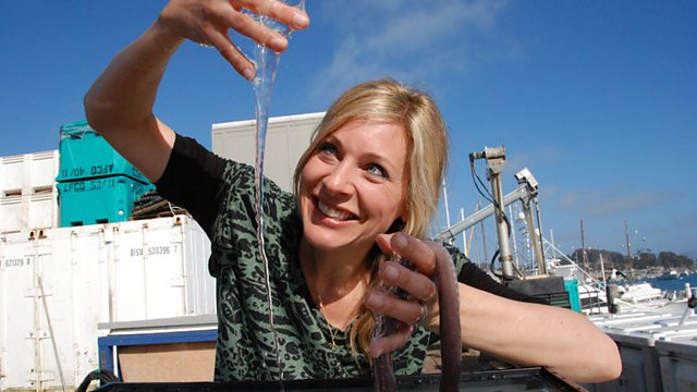 Naomi's Nightmares of Nature: California