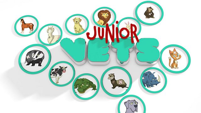 Junior Vets: Episode 5