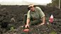 Fierce Earth: Volcanos