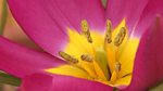 Gardeners' World: 2013: Episode 6