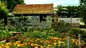 Gardeners' Question Time