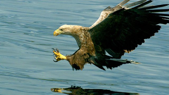 Hebrides: Islands on the Edge: Episode 2