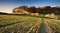 Farming Today