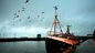 Shipping Forecast