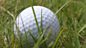The Golf Show