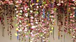 RHS Chelsea Flower Show: 2013: Episode 5