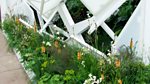 RHS Chelsea Flower Show: 2013: Episode 9